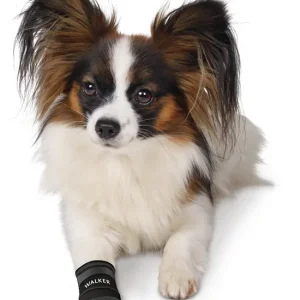 TRIXIE Walker Schutzstiefel M 2 Stück Neuheit
